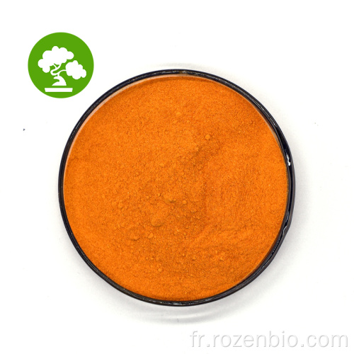 Poudre de coenzyme soluble de haute qualité Q10